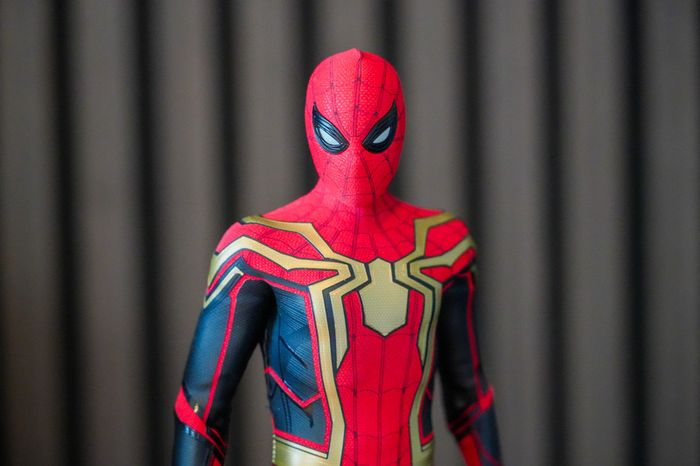 Hot Toys Spider-Man - Integrated Suit - MMS623 - 1/6 Scale