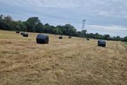 Silage