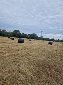 Silage