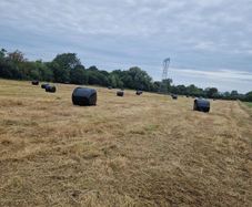 Silage