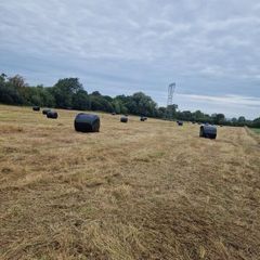 Silage