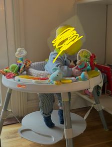 Skip Hop Activity Center