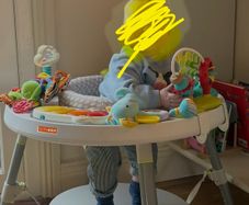 Skip Hop Activity Center