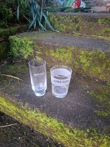 2 whiskey jameson glasses postage possible