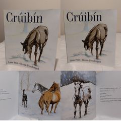 Cruibin Irish Book By Liam Prut