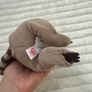 Ty Beanie Baby Bellies Petey the Raccoon approx. 6 Inch Plush Used Please see pictures Image 8