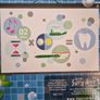 Irish Fairy Door Tooth Fairy Kit Magical Gift Set Kids Tooth Fairy NEW Image 5