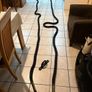 50 Foot Battle Rope And Wall Anchor! Image 3
