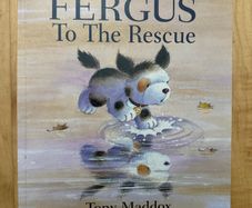 Fergus to the Rescue - Paperback: Ages
