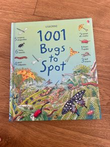 1001 Bugs To Spot (Usborne)