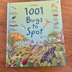 1001 Bugs To Spot (Usborne)