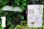 Bird Feeder - brand new
