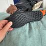 football boots nike astro size 10uk Image 2