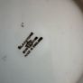 Vintage Gladstone Fine Bone China tea set Image 9