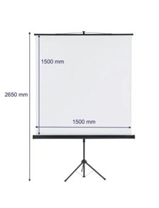 Portable Projection Screen