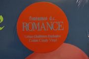 Fontaines dc Romance Limited edition Cotton candy vinyl