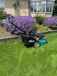 lawn