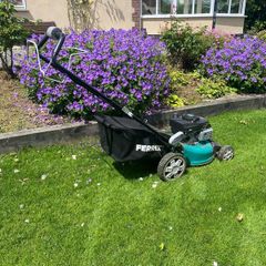 lawn