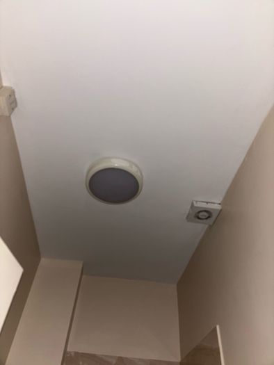 Mould Remover