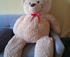 Large Teddy