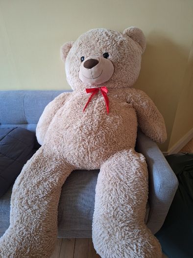 Large Teddy