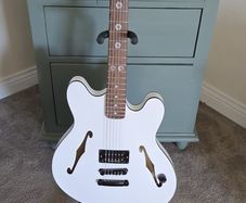 Custom built Fender Tom DeLonge starcaster