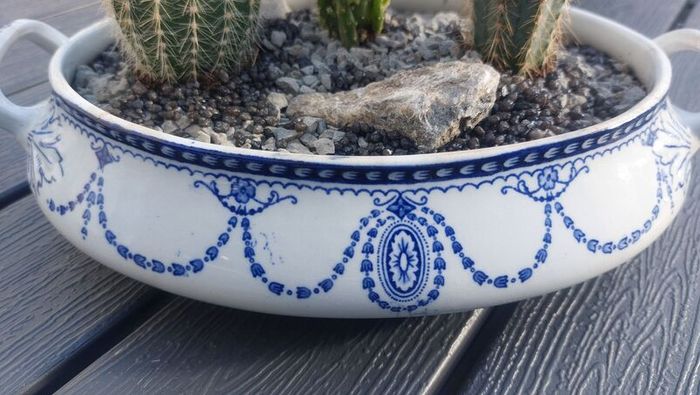 Fabulous Antique W. Adams Two-Handled Tureen with Cacti Garden - A Fabulous Unique and Decorative Item for Display Indoors