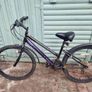 Ladies Probike Escape 26" Wheels Image 2