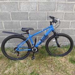 Apollo Phaze Mens Mountain Bike BLUE
