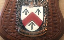Walsh Family Coat of Arms