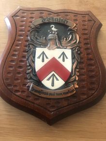 Walsh Family Coat of Arms