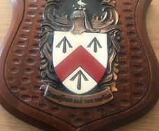 Walsh Family Coat of Arms