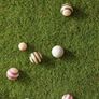 kids concept boccia garden games Image 3