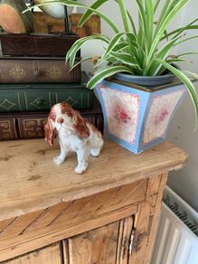 Hand painted dog.