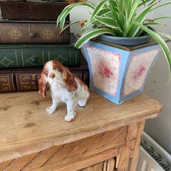 Hand painted dog.