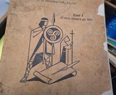 Stair na hEireann History book
