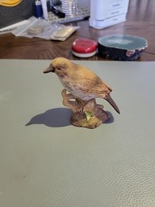 Bird ornament mistle thrush
