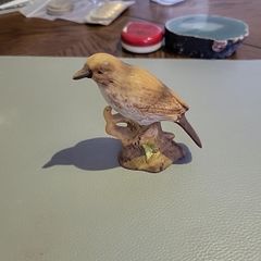 Bird ornament mistle thrush