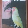 Handfeeding Baby Birds by Jo Cooper (P+P incl) Image 2