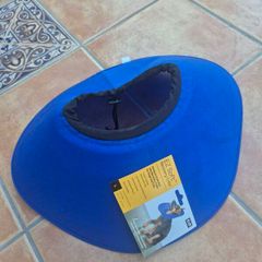 Dog Cone (unused)