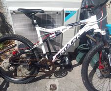 adult bike for sale