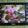 Nikon Coolpix S60-10 MP-Compact Digital Camera JAPAN-Charger-Tested Image 6