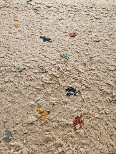 free rug