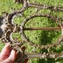Antique Rococo  Brass Easel Back Picture Frame Image 7