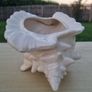 Atlantic Mold  ceramic planter in the shape of a seashell Image 2