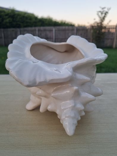 Atlantic Mold  ceramic planter in the shape of a seashell