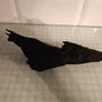 Bog oak Image 2