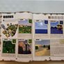 Minecraft Annual 2014. Image 6