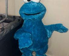 Sesame Street Life Size