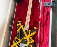 Evh Stripe Series Guitar Case